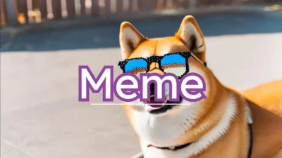 Meme Collection