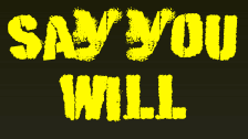 Say You Will