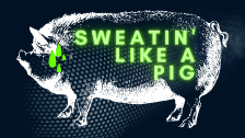 Sweatin’ Like A Pig
