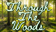 Through The Woods